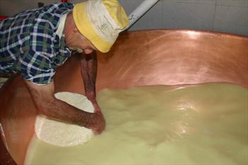 The processing of cheese