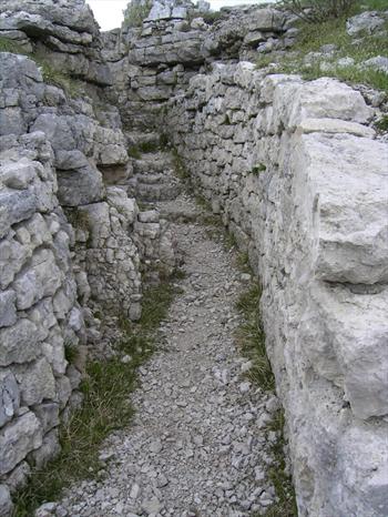 A Mount Zebio trenche 